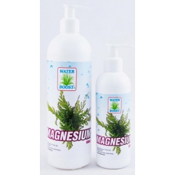 WATER BOOST MAGNESIUM 500 ml